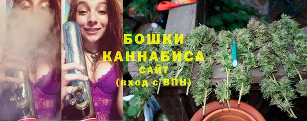 дживик Вязьма