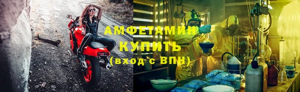 дживик Вязьма
