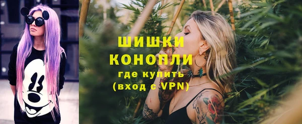дживик Вязьма