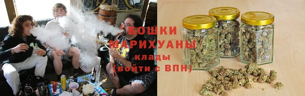 дживик Вязьма