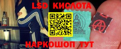 винт Шелехов