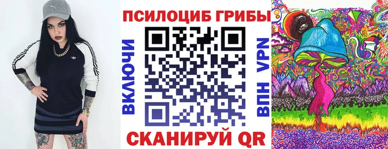Галлюциногенные грибы мухоморы  Санкт-Петербург 