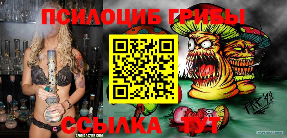 Псилоцибиновые грибы мицелий  Вход с VPN  закладки  Санкт-Петербург 