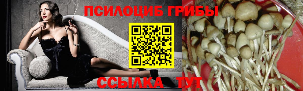 Псилоцибиновые грибы Magic Shrooms Санкт-Петербург